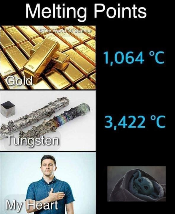 The meme is a joke about the melting points of certain elements, specifically gold and tungsten. It features a picture of a person with a "melting point" of "my heart", implying that their emotions are so fragile they can melt at a relatively low temperature. The text "I'm a delicate flower" is likely added to the image, emphasizing the absurdity of the situation.